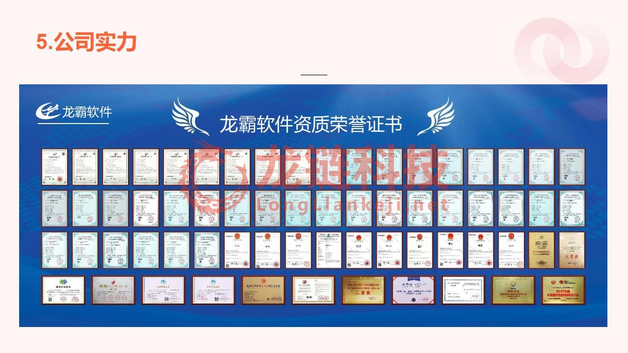 【龙霸软件】我店平台解决方案_31.jpg